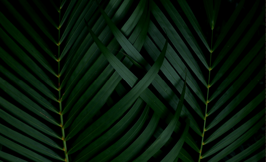 inner_01_02 https://stg.buysellrentpropertygroup.com/wp-content/uploads/2020/03/inner_01_02.png